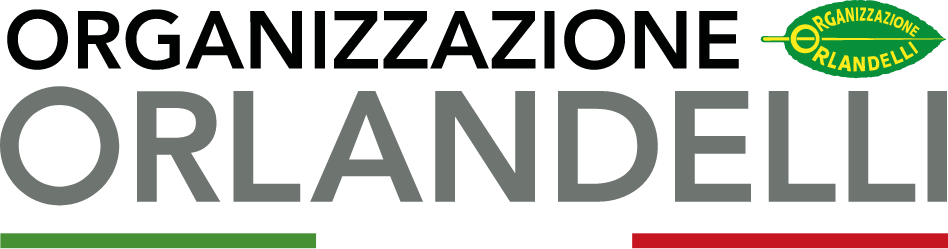 Orlandelli logo